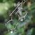 Pearl dangle earrings, 'Ode to Friendship' - Pearl dangle earrings (image 2b) thumbail