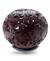 Coconut shell sculpture, 'Playful Squirrels' - Coconut shell sculpture (image 2a) thumbail