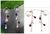 Garnet dangle earrings, 'Squirrel Symphony' - Garnet dangle earrings thumbail