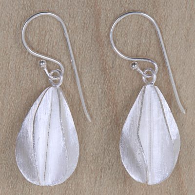 Sterling silver dangle earrings, Satin Star Fruit