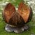 Coconut shell catchall, 'Awakened Lotus' - Hand Made Coconut Shell Catchall from Indonesia (image 2) thumbail