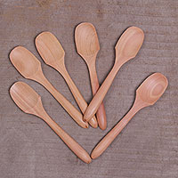 Wood spoons Flavorful set of 6 Indonesia