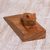 Wood doorstop, 'Helpful Toad in Brown' - Handcrafted Suar Wood Frog Doorstop in Brown from Bali (image 2c) thumbail