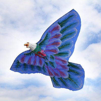 Nylon kite, 'Bald Eagle' - Hand-Painted Nylon Bald Eagle Kite from Bali