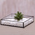 Glass and brass terrarium, 'Garden Desire' - Handmade Javanese Glass and Brass Plant Terrarium thumbail