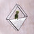 Glass and brass terrarium, 'Garden Desire' - Handmade Javanese Glass and Brass Plant Terrarium (image 2b) thumbail