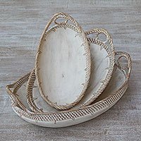 Wood and natural fiber trays,