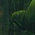 'You Are My Life' - Signed Artistic Nude Painting in Green from Java (image 2c) thumbail