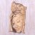 Wood relief panel, 'Cendrawasih Lady' - Hibiscus Wood Relief Panel of a Cendrawasih Lady from Bali thumbail