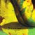 'A Good Name Will Be Remembered' - Signed Expressionist Painting of a Nude Woman from Bali (image 2c) thumbail