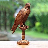 Wood sculpture, 'Watching Falcon' - Watchful Suar Wood Falcon Sculpture from Bali