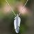 Sterling silver pendant necklace, 'Daun Pisang' - Sterling Silver Banana Leaf Pendant Necklace from Bali thumbail