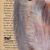 'Golden Retriever' - Signed Painting of a Golden Retriever from Bali (image 2c) thumbail