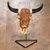 Resin decorative accent, 'Buffalo Vine' - Vine Motif Buffalo Skull-Shaped Resin Decorative Accent (image 2) thumbail