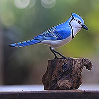 Wood sculpture, 'Perched Blue Jay' - Hand-Painted Wood Blue Jay Sculpture from Bali