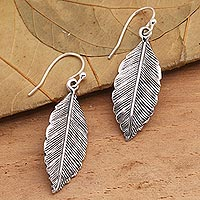 Sterling silver dangle earrings, 'Freeform Feathers' - Sterling Silver Feather Dangle Earrings