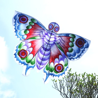 Hand-painted nylon kite, 'Mariposa' - Hand-Painted Nylon Butterfly Kite