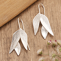 Sterling silver drop earrings, 'Modern Forest' - Minimalist Aloe Vera-Shaped Sterling Silver Drop Earrings