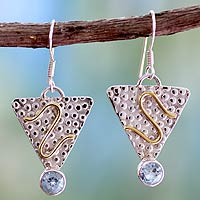 Blue topaz dangle earrings Golden Serpent India