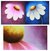 'Happy Blossoms' (diptych) - Fine Art Original Paintings from India (diptych) thumbail