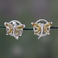 Citrine button earrings,