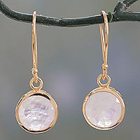 Vermeil rainbow moonstone dangle earrings, 'Elite Discretion' - Indian Gold Vermeil Hook Earrings with Rainbow Moonstone