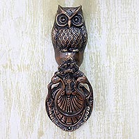 Featured review for Brass door knocker, Owl Arrival