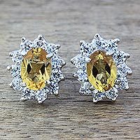 Citrine stud earrings,