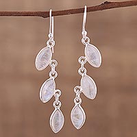 Rainbow moonstone dangle earrings, 'Frosty Trail' - Rainbow Moonstone Long Dangle Earrings with Sterling Silver