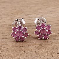 Ruby stud earrings,