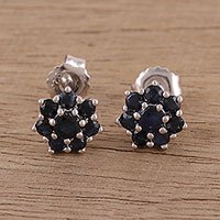 Sapphire stud earrings,