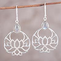 Labradorite dangle earrings,