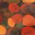 'After Work' - Signed Surrealist Painting of a Donkey from India (image 2c) thumbail