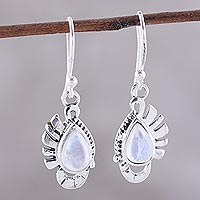 Rainbow moonstone dangle earrings, 'Feather Bliss' - Teardrop Rainbow Moonstone Dangle Earrings Crafted in India
