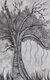 'Flourishing Tree' - Signed Black and White Folk Art Painting of a Tree thumbail