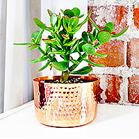 Copper flower pot, 'Vintage Nature' - Handcrafted Copper Flower Pot with Hammered Finish