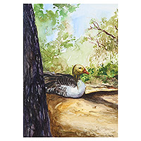 'South African Duck' - Signed Stretched Watercolor Painting of Natural Scene
