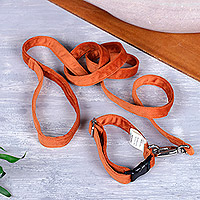 Pet collar and leash set, 'Adorable Fusion in Ginger' - Pet Collar and Leash Set with Snap Buckle in Orange