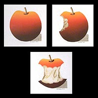 'Red Apple' (triptych) - Mixed Media Red Apple Painting