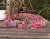 Soda pop-top belt, 'Multicolor Armor Chain Mail in Dark Pink' - Soda pop-top belt (image 2a) thumbail