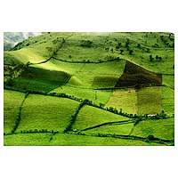 'Lloa Valley' (18 inch) - Verdant Lloa Valley Landscape Color Photograph