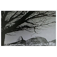 'Sugarloaf with a Ceiba' - Rio Sugarloaf Mountain Black and White Photograph