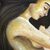'Birth' - Romantic Fantasy Oil Portrait of a Mermaid and Angel Family (image 2b) thumbail