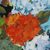 'Vase with Hydrangeas' - Signed Still Life Painting of Hydrangeas from Brazil (image 2b) thumbail