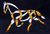 'Golden Horse' - Ricardo Siccuro Signature Surreal Horse Painting from Brazil thumbail