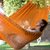 Cotton hammock, 'Pumpkin Sun' (double) - Hand Woven Orange Cotton Double Size Hammock thumbail