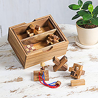 Wood puzzles, 'Mini Puzzles' (set of 6) - Handmade Set of Six Mini Wooden Puzzles from Thailand
