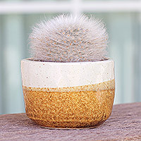 Ceramic flower pot, 'Brown Bud' - Handcrafted Ceramic Flower Pot with Brown Tones