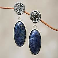 Sodalite dangle earrings,
