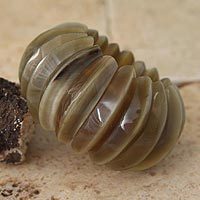 Bull horn stretch bracelet,